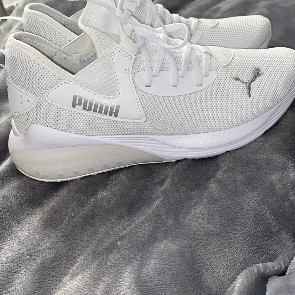 White Puma’s